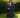 Women's Indigo Jacquard Denim Riding Jacket Navy
